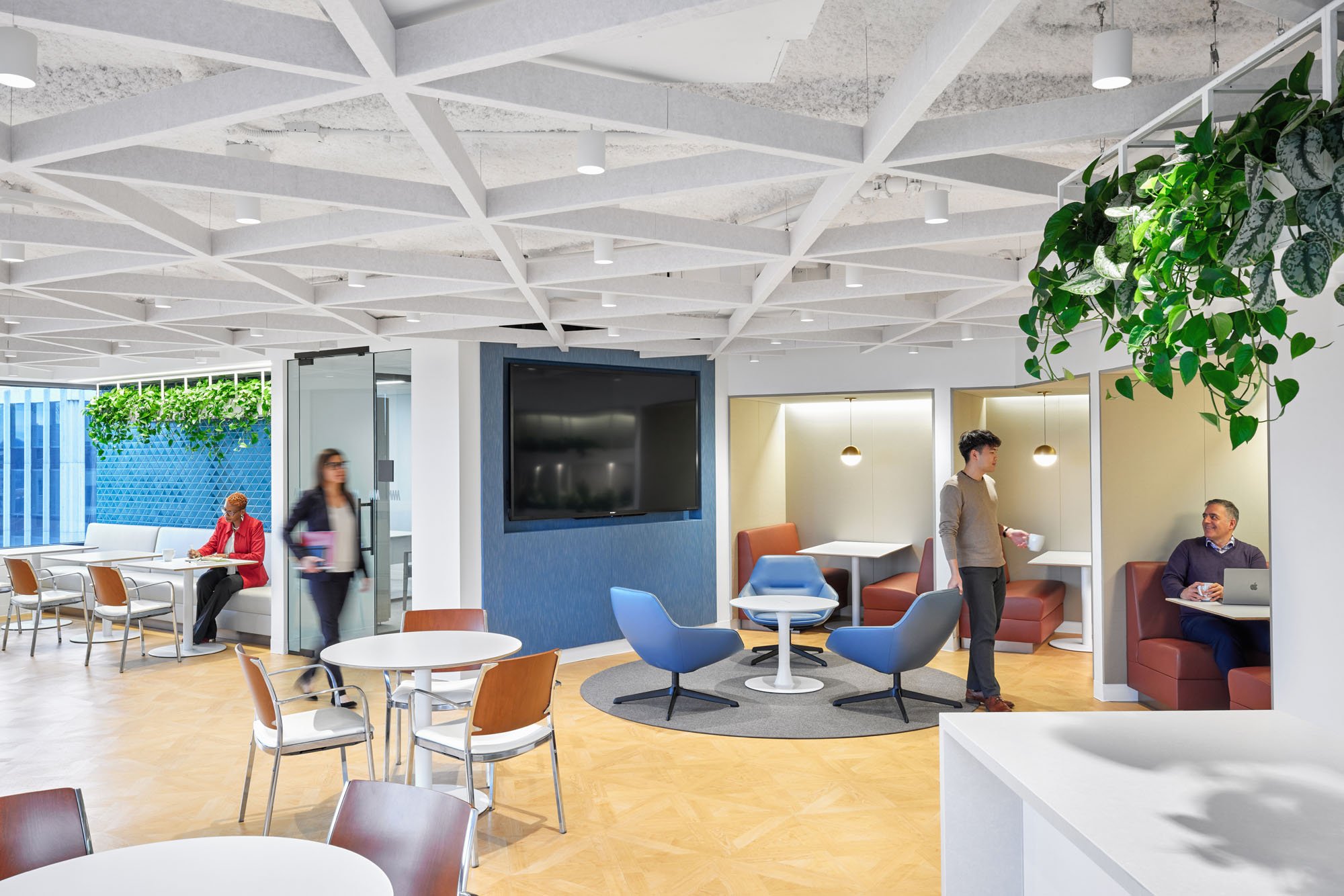 interior of an office showing acoustic ceiling treatment