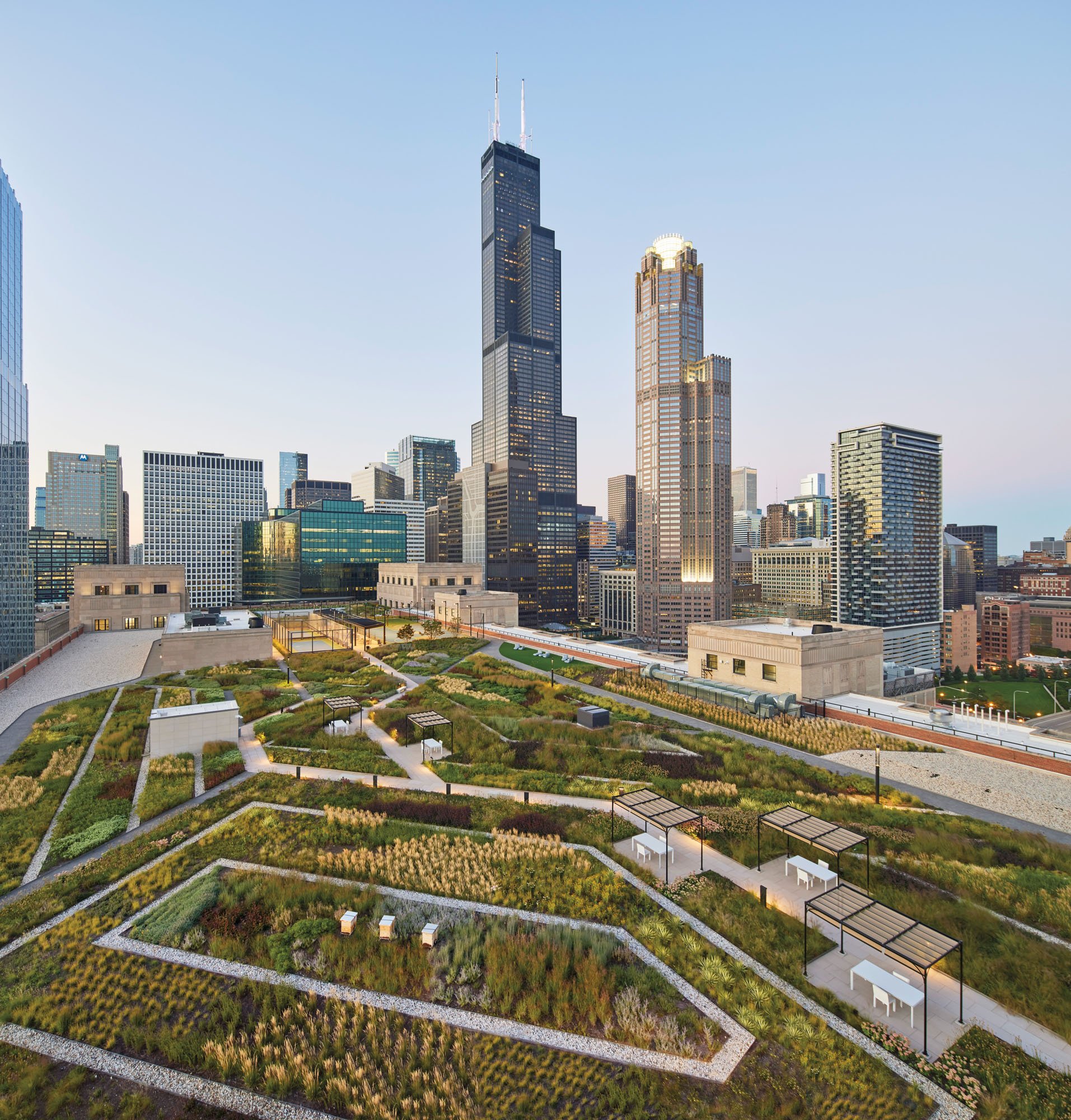 rooftop garden in chicago