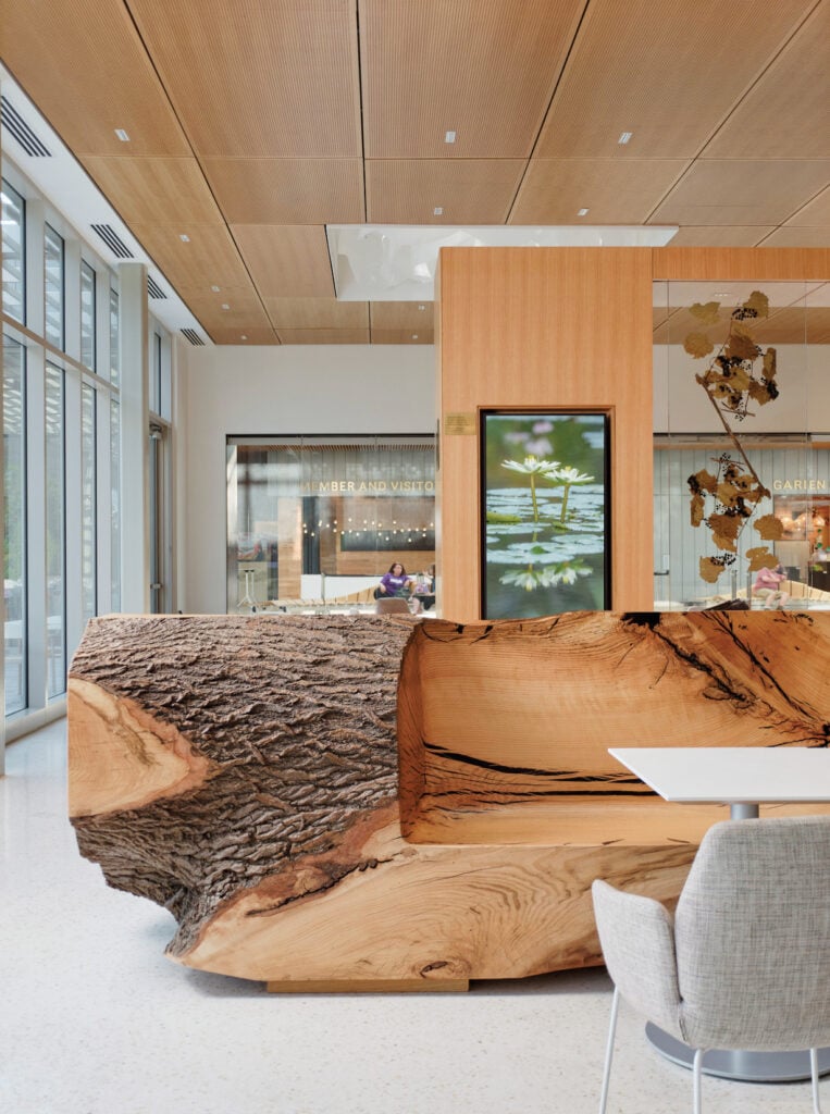 a bench made out of raw wood inside of a botanic garden